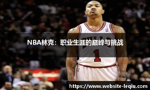 NBA林克：职业生涯的巅峰与挑战